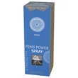 HOT Shiatsu Penis Power - stimuláló intim spray férfiaknak (30 ml)