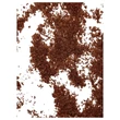 Coconutoil - bio Testradír Kávéval & Kókuszvirágcukorral (100 ml)