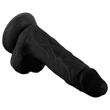 Mr. Rude - tapadókorongos, herés élethű dildó - 19 cm (fekete)