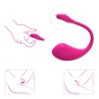 Lovense Lush 2 - App-vezérelt vibrációs tojás (pink)