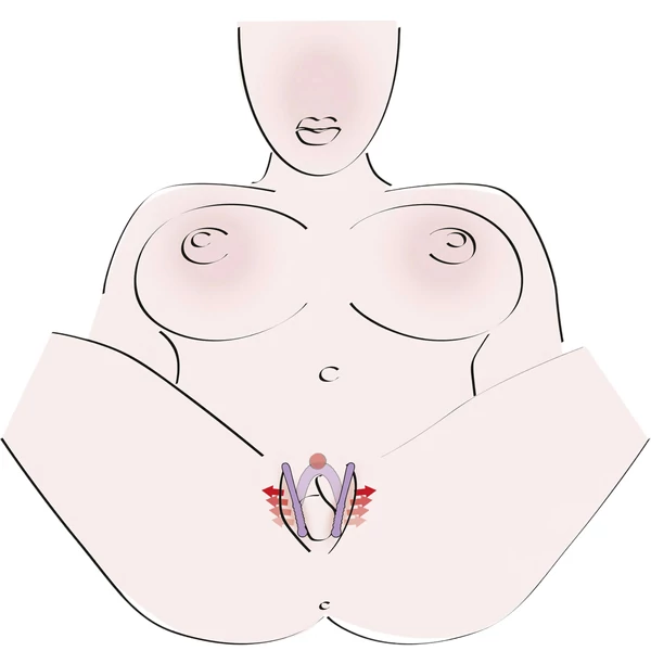 You2Toys - Intimate Spreader hüvely széthúzó