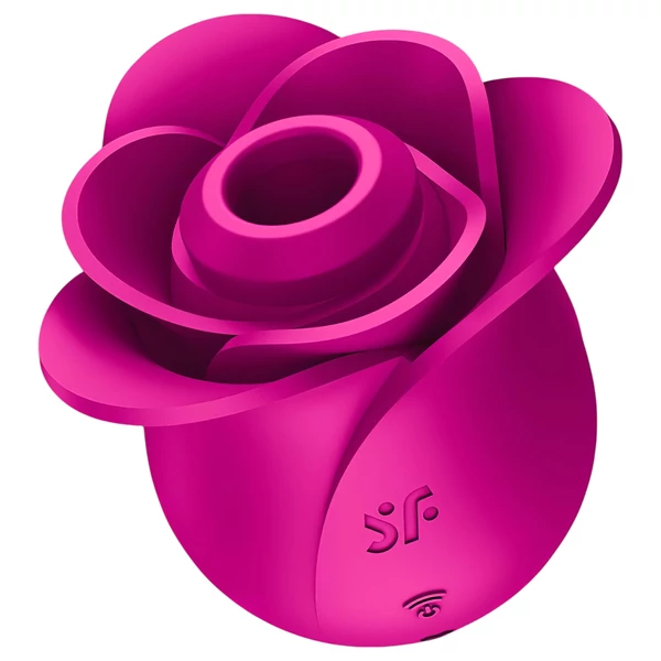 Satisfyer Pro 2 Modern Blossom - léghullámos csiklóizgató (pink)